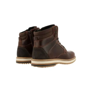 Lace Up Boots*Bullboxer Boots Dark Brown 298N80053Abodbsu