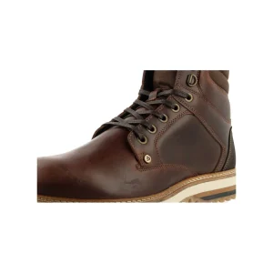 Lace Up Boots*Bullboxer Boots Dark Brown 298N80053Abodbsu