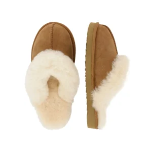 Slippers*Bullboxer Slippers Chestnut Aae000F1L_Cheskb