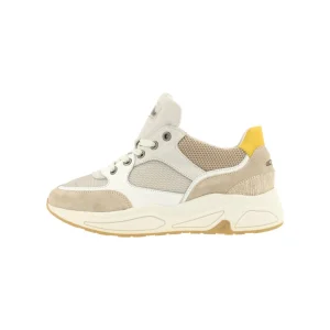 Sneaker Low*Bullboxer Sneaker Beige 295018E5C_Swbytd