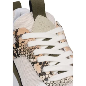 Sneaker Low*Bullboxer Sneaker Beige/Snake 099000F5S_Bgwhtd