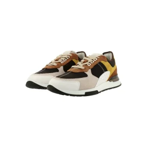 Sneaker Low*Bullboxer Sneaker Low Dark Brown 036P21355Adkbrsu