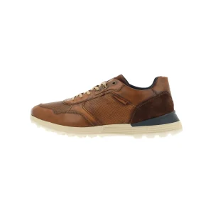 Sneaker Low*Bullboxer Sneaker Tan/Cognac 373K20438Awcbnsu